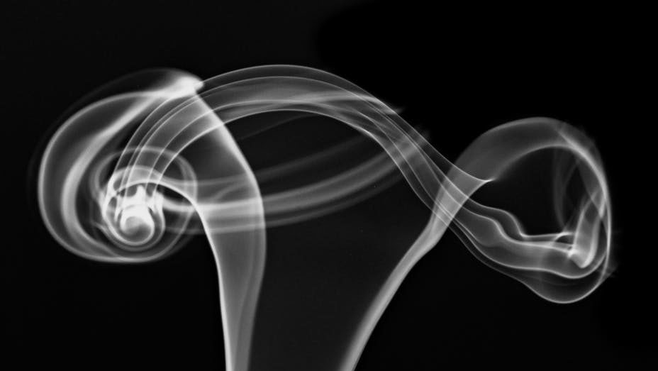 Nose Dive, by Harold McGee